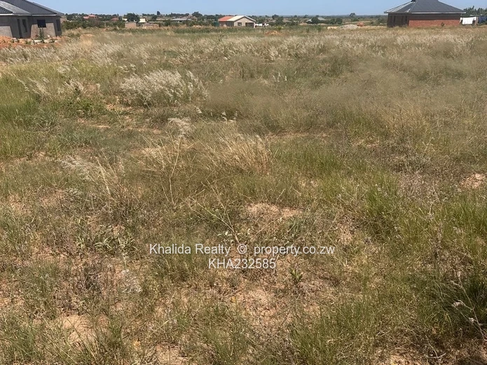 Norton stand for sale