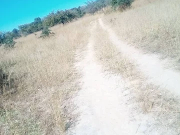 Farm & Agricultural Land