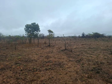 Farm & Agricultural Land