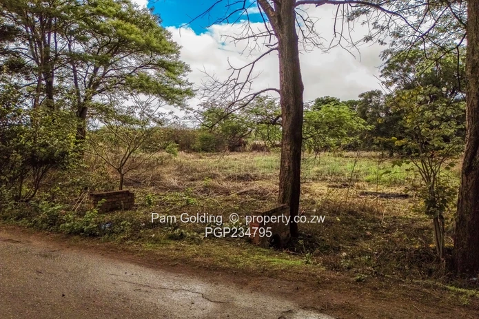 Vacant Title Stand in Good Location