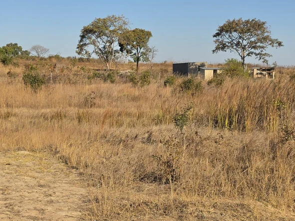 Farm & Agricultural Land