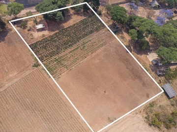 Stands & Residential Land