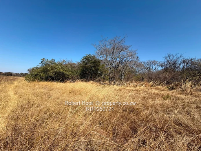1.56ha at Darwendale with Lake View
