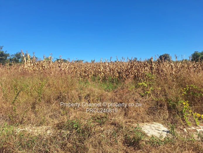 Your Dream Home Starts Here . . .