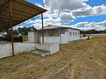 Farm & Agricultural Land