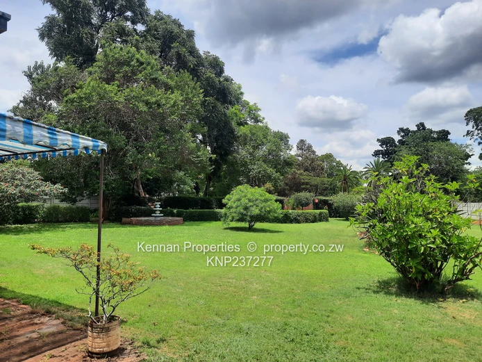 Large Stand with Small House and Good Water- Ripe for Development