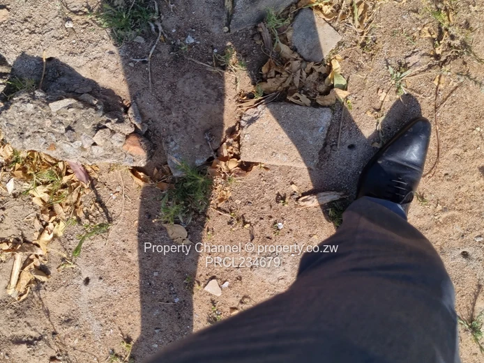 Prime Investment Opportunity