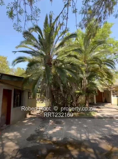 Sole Mandate :  The Visionary Developer's Dream 