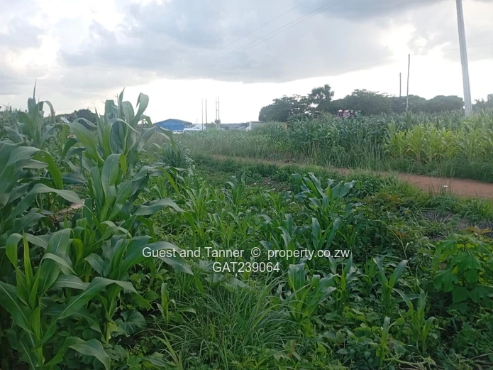 Residential Land For Sale In Damafalls