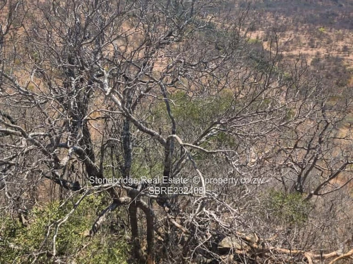 Prime Land for sale in Esigodini