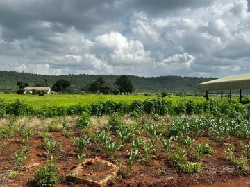 Farm & Agricultural Land
