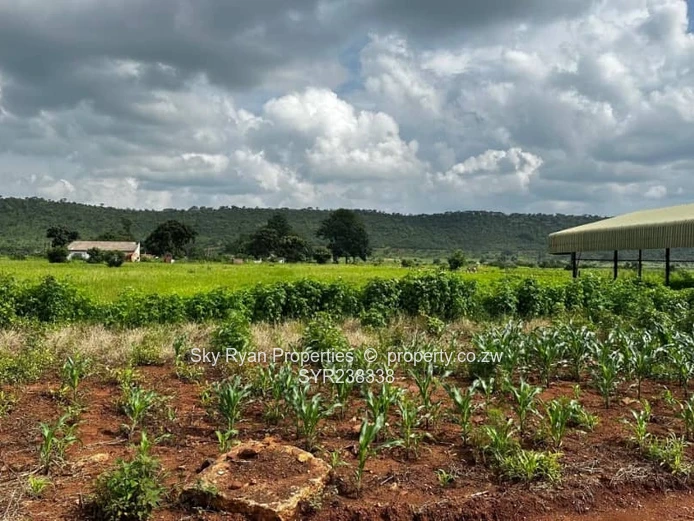 Kintyre Area, Norton Land For Sale