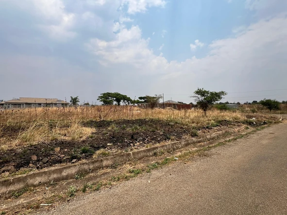 Stands & Residential Land