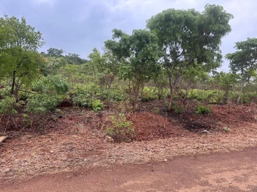 Farm & Agricultural Land