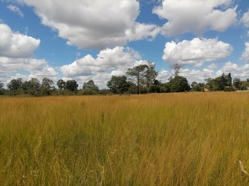 Farm & Agricultural Land