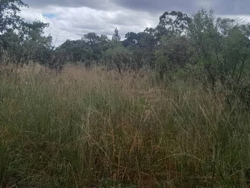 Farm & Agricultural Land