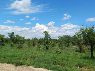 Commercial & Industrial Land