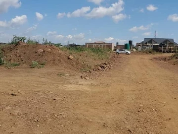 Stands & Residential Land