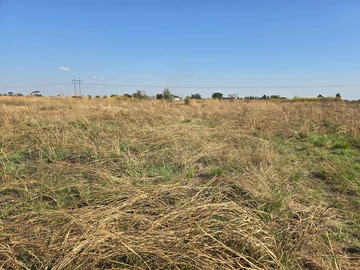 Stands & Residential Land