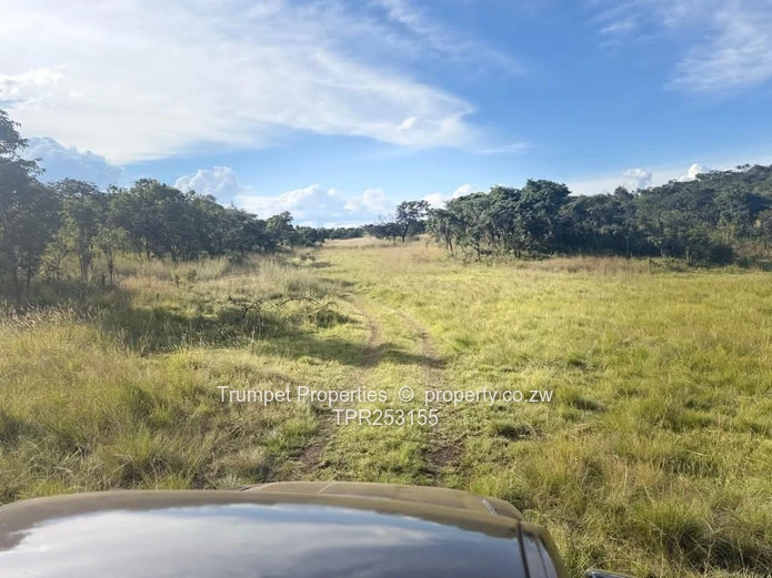 300m² Budiriro Stand — Open Views & Gravel Access