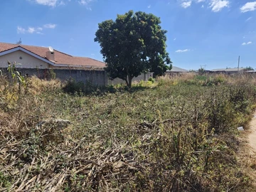 Stands & Residential Land
