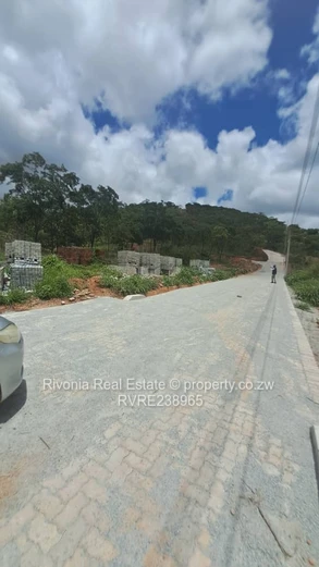 2000m² tree-lined stand with new paved road — Carrick Creagh