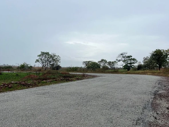 Stands & Residential Land