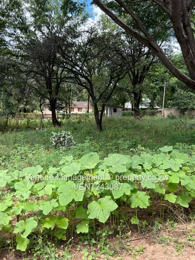 Chiredzi Low-Density Residential Property for Sale.