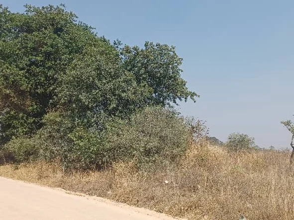 Farm & Agricultural Land