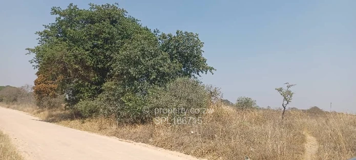 5.2 hectares Farmland. (Sole Mandate)