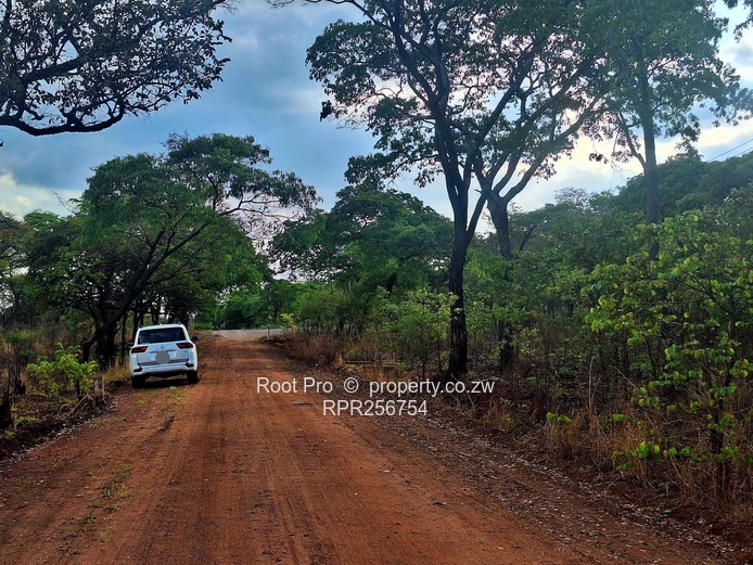 Well-treed Lake Chivero Stand (taking mortgage). . . (Sole Mandate)
