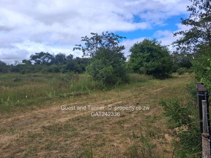 60-hectare Plot For Sale In Beatrice