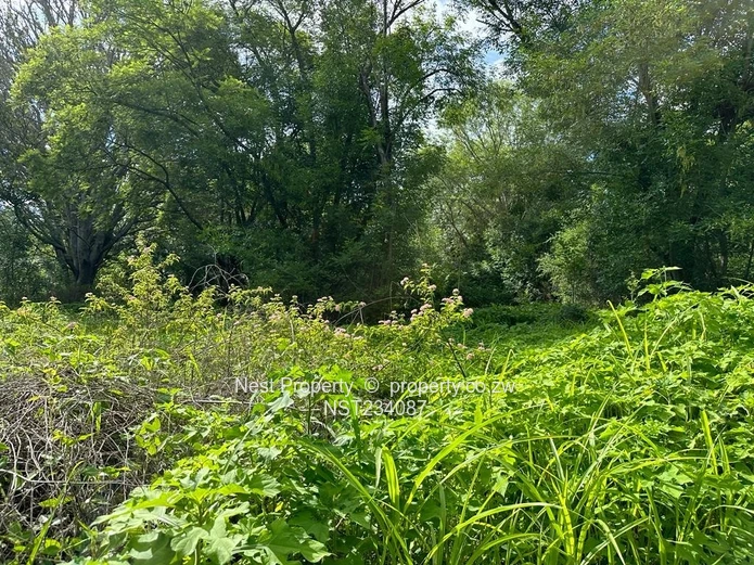 14.1 Acres of Prime Land in Helensvale@