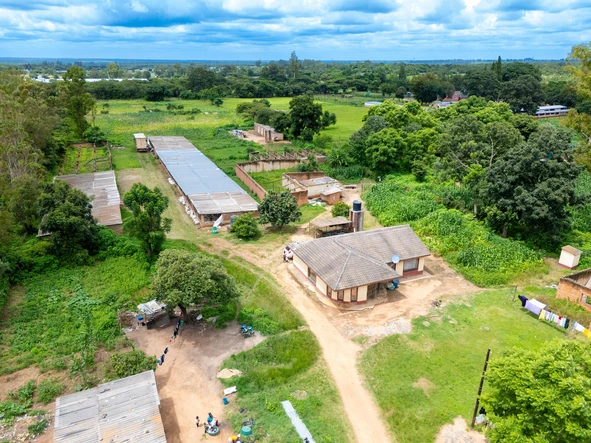 Farm & Agricultural Land