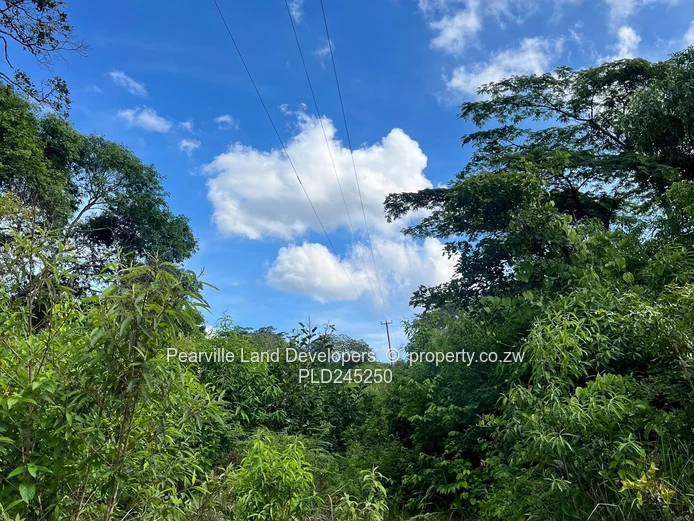 Chipinge Bangazani 1000sqm 