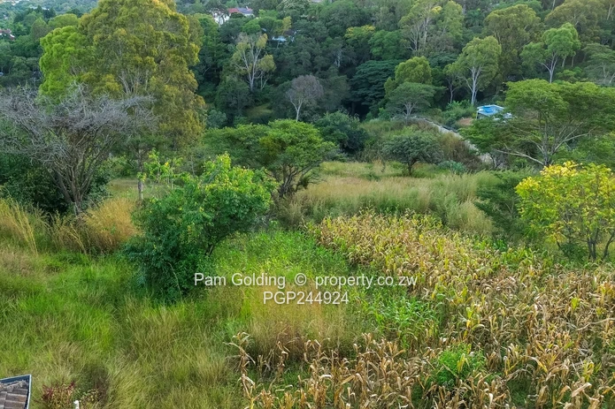 A Rare Hillside Sanctuary In Helensvale – 1.3 HA (Sole Mandate)