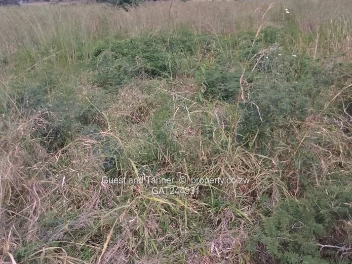 Residential Stand For Sale In Greenhill Bindura