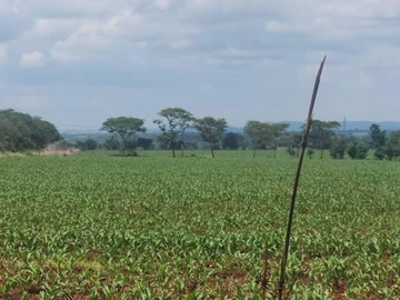 Farm & Agricultural Land