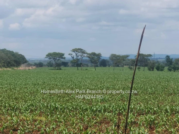 Banket Farm For Sale