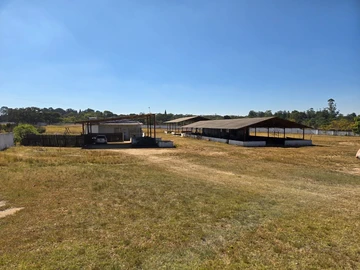 Farm & Agricultural Land