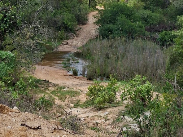 Farm & Agricultural Land