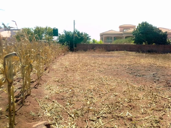 Stands & Residential Land