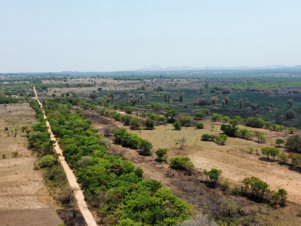 Farm & Agricultural Land