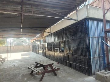 Shop & Retail Property
