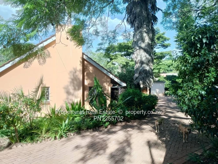 Solid neat family home!!!