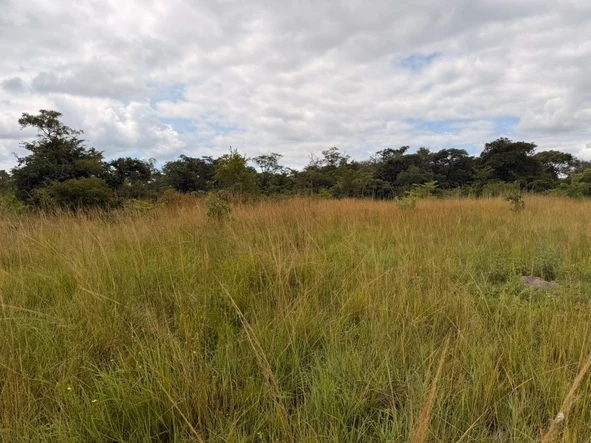 Farm & Agricultural Land