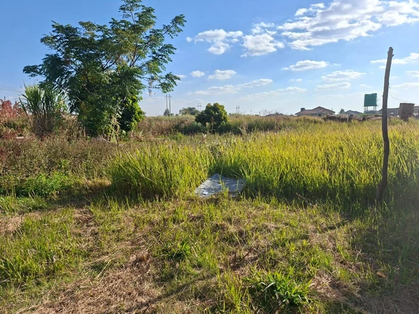 Stands & Residential Land