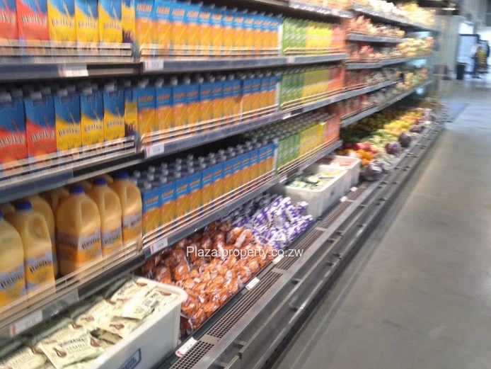 Prime Property for Sale in Chivhu 