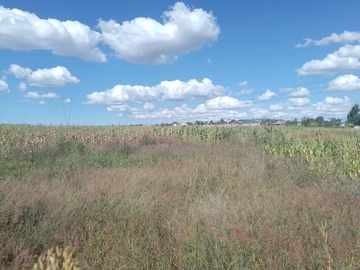 Commercial & Industrial Land