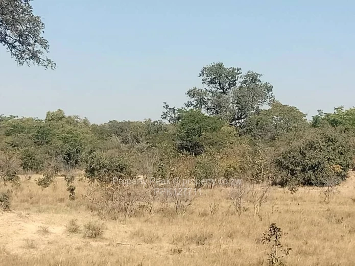 Chegutu Plots For Sale X4